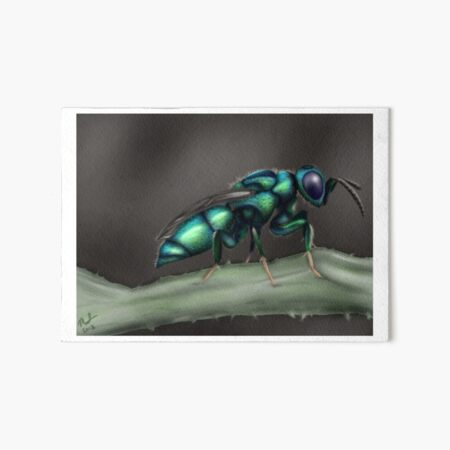 Cuckoo Wasp Art Board Print