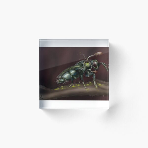 "Infested" Acrylic Block