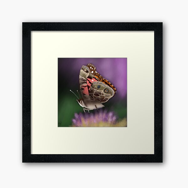 American Painted Lady Butterfly Framed Art Print