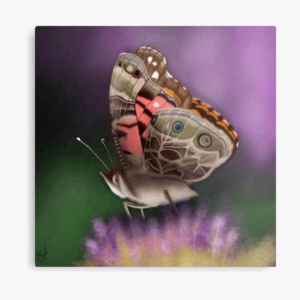 American Painted Lady Butterfly Metal Print