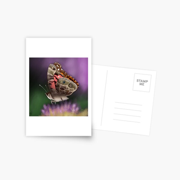 American Painted Lady Butterfly Postcard