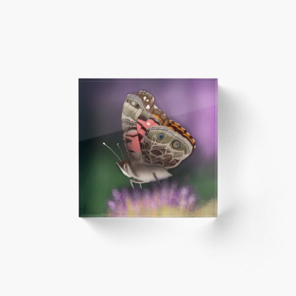American Painted Lady Butterfly Acrylic Block