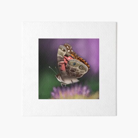 American Painted Lady Butterfly Art Board Print