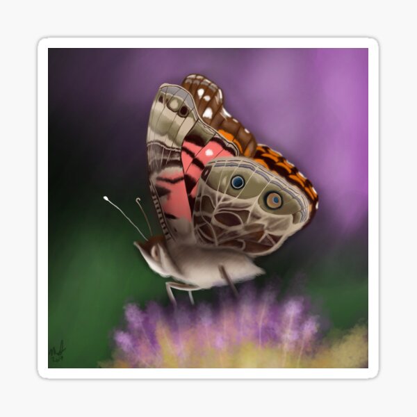 American Painted Lady Butterfly Sticker