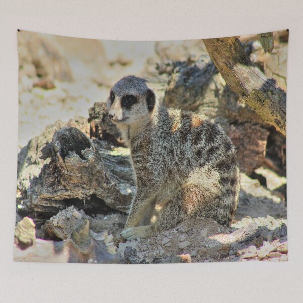 Item preview, Sitting in the Shade designed and sold by Vicki Spindler (VHS Photography).