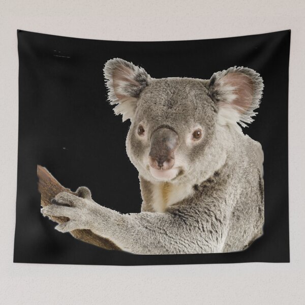 Item preview, Koala Bear designed and sold by dodgerfl.