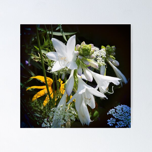 Item preview, Beauty around us designed and sold by Milena Ilieva.