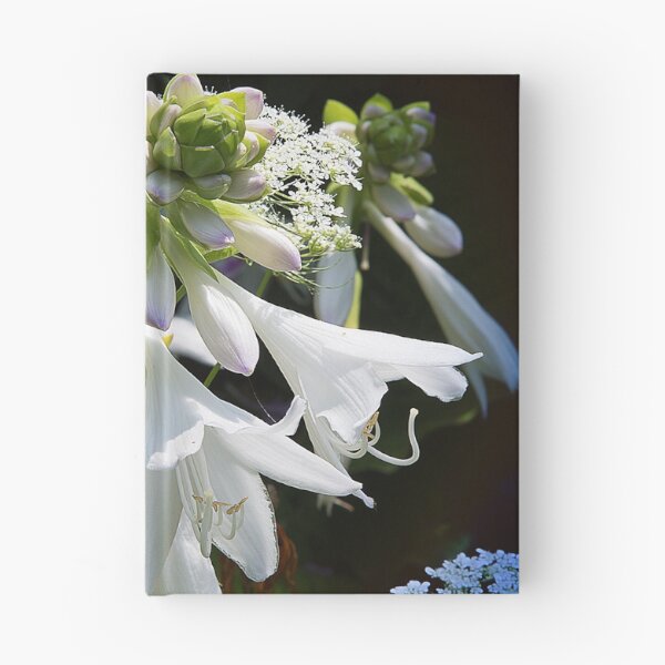 Item preview, Beauty around us designed and sold by Milena Ilieva.