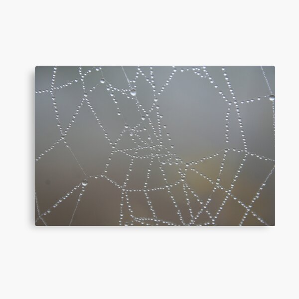 Item preview, spider web designed and sold by SKNickel.