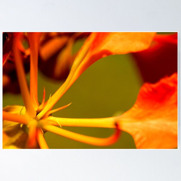 Item preview, The Centre Of Attention designed and sold by Chris Thornley.