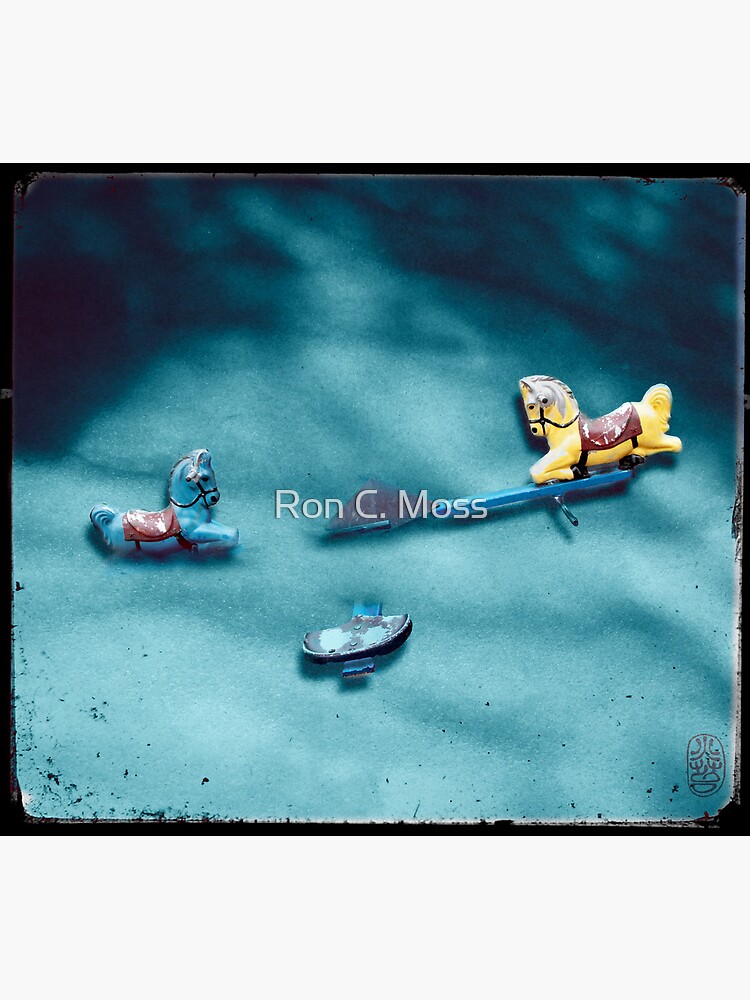 Winter Playground by ronmoss