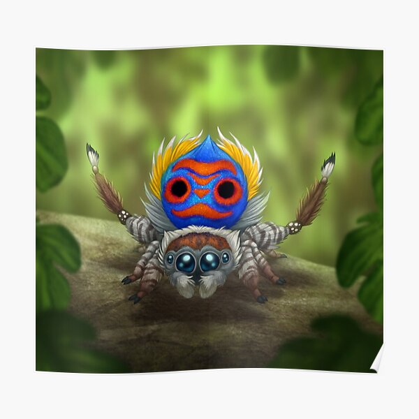 Peacock Spider Poster