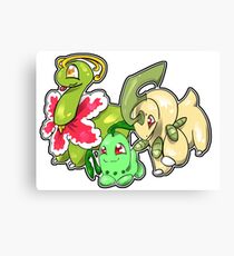 Johto Grass Starter Evos Canvas Print