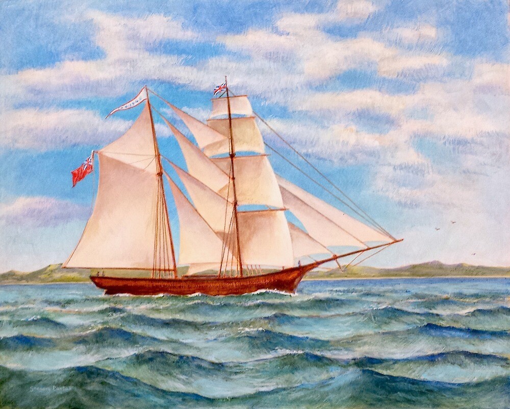 the-mary-celeste-updated-by-gregory-pastoll-redbubble