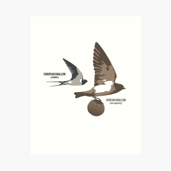 Item preview, European and African Swallow designed and sold by Expressman.