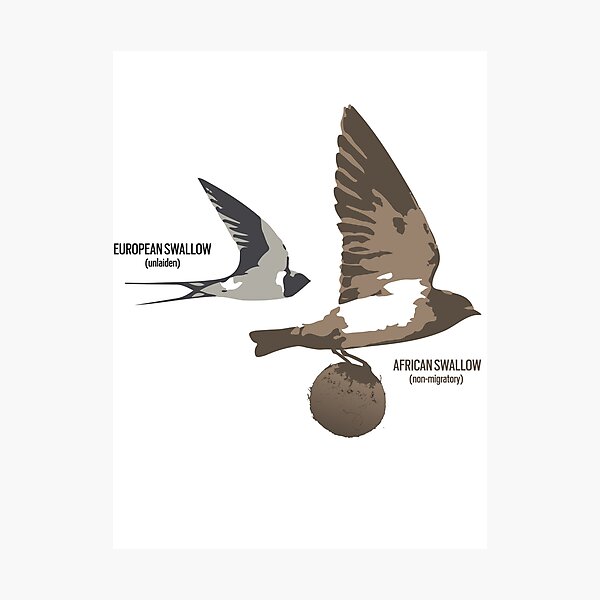 Item preview, European and African Swallow designed and sold by Expressman.
