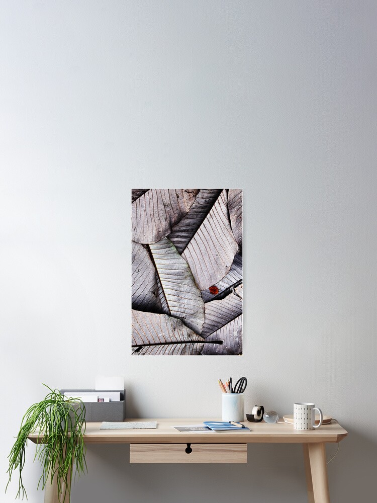 Thumbnail 2 of 3, Poster, Leaf Fall - Castle Kennedy designed and sold by Coigach.