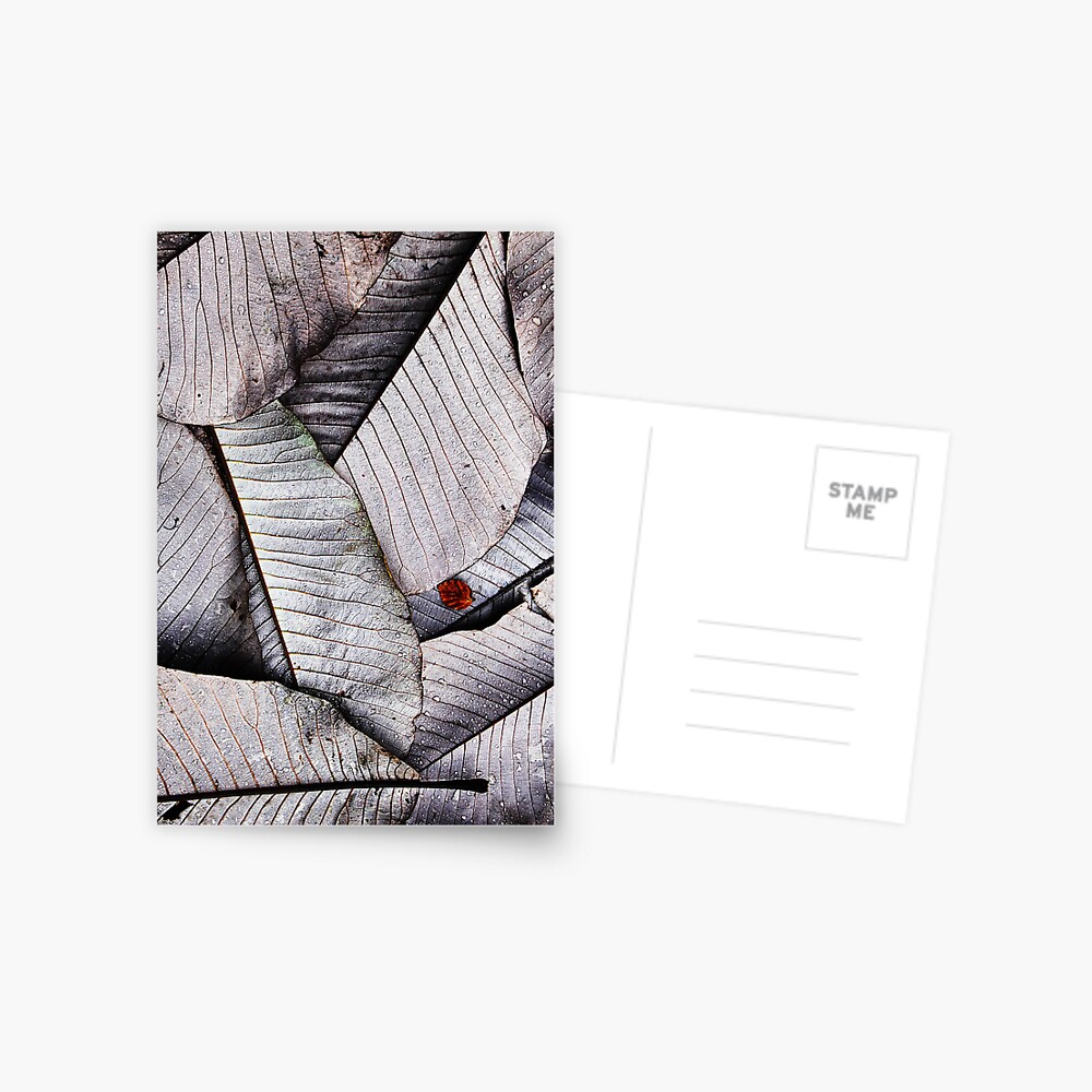 Item preview, Postcard designed and sold by Coigach.