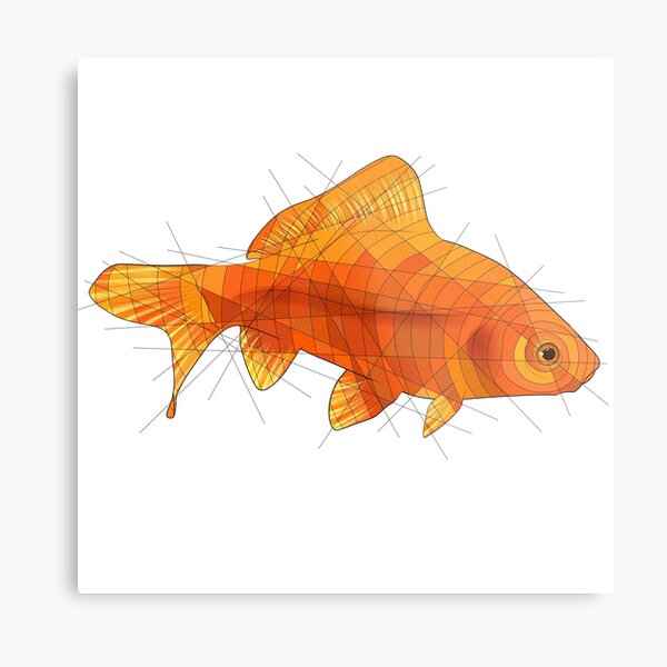 Goldfish Metal Print