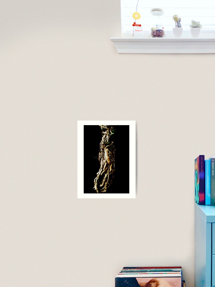 Thumbnail 2 of 3, Art Print, Treeknot designed and sold by Coigach.