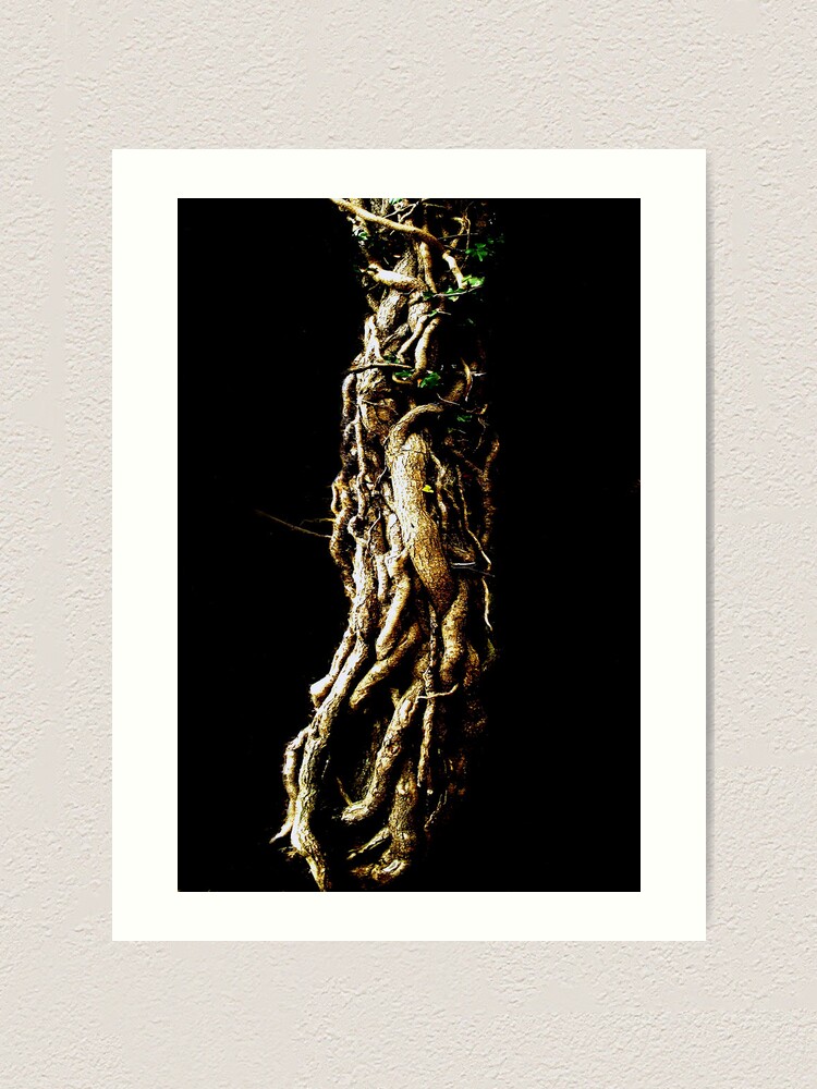 Thumbnail 1 of 3, Art Print, Treeknot designed and sold by Coigach.