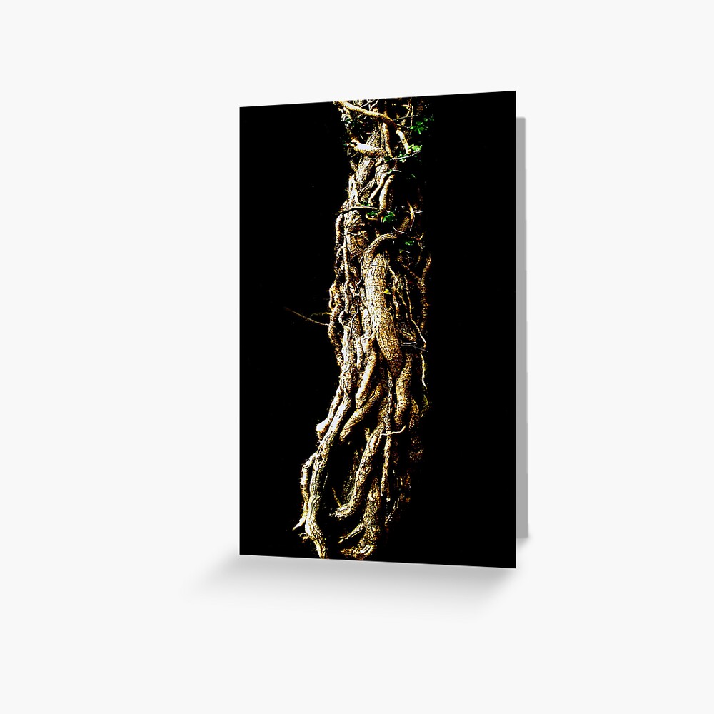 Item preview, Greeting Card designed and sold by Coigach.