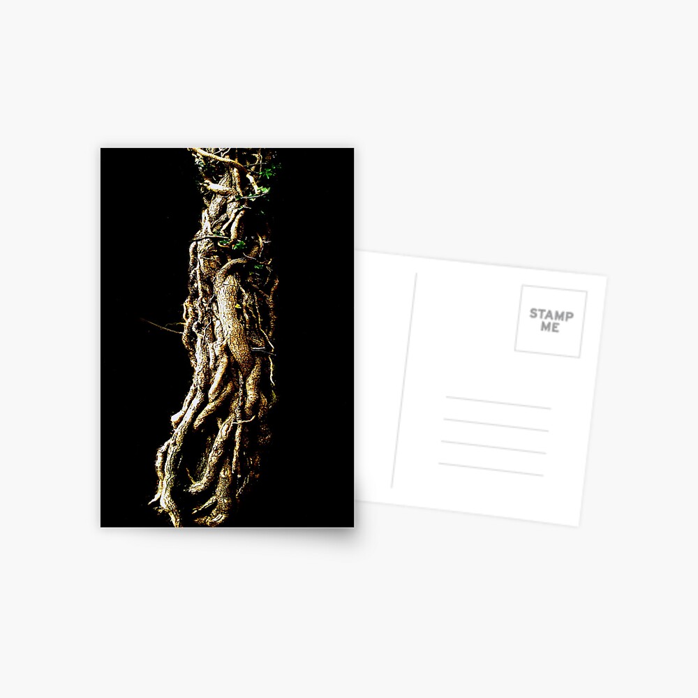 Item preview, Postcard designed and sold by Coigach.