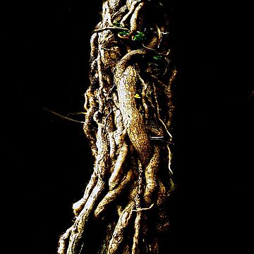 Artwork thumbnail, Treeknot by Coigach