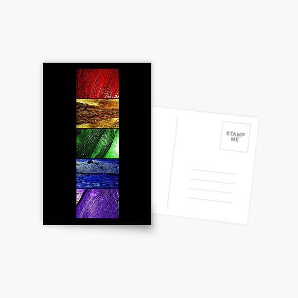 Sandstitch Spectrum Postcard