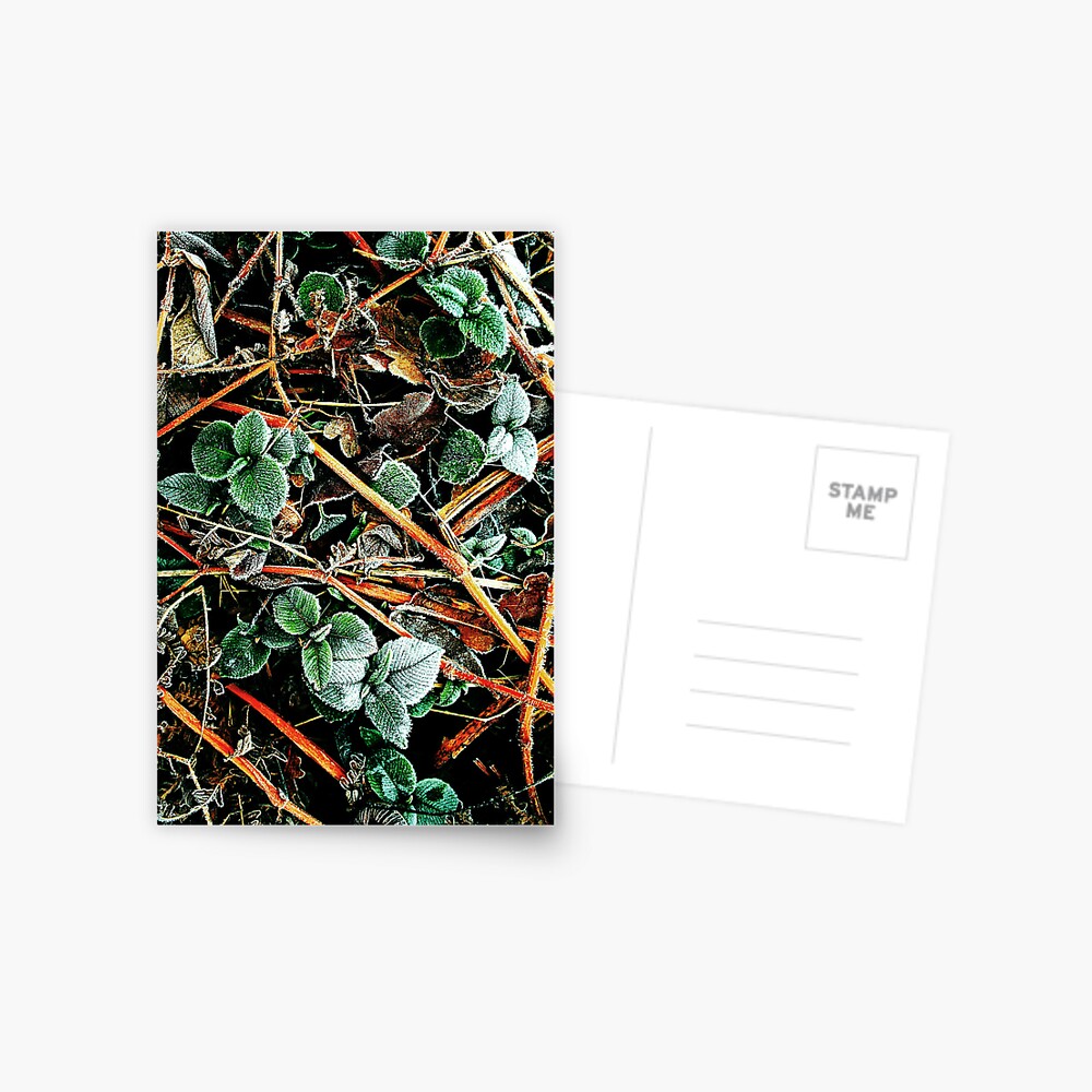 Item preview, Postcard designed and sold by Coigach.