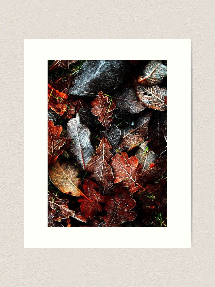 Thumbnail 1 of 3, Art Print, Touch of Frost 9 designed and sold by Coigach.