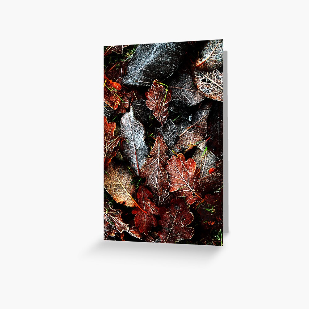 Item preview, Greeting Card designed and sold by Coigach.