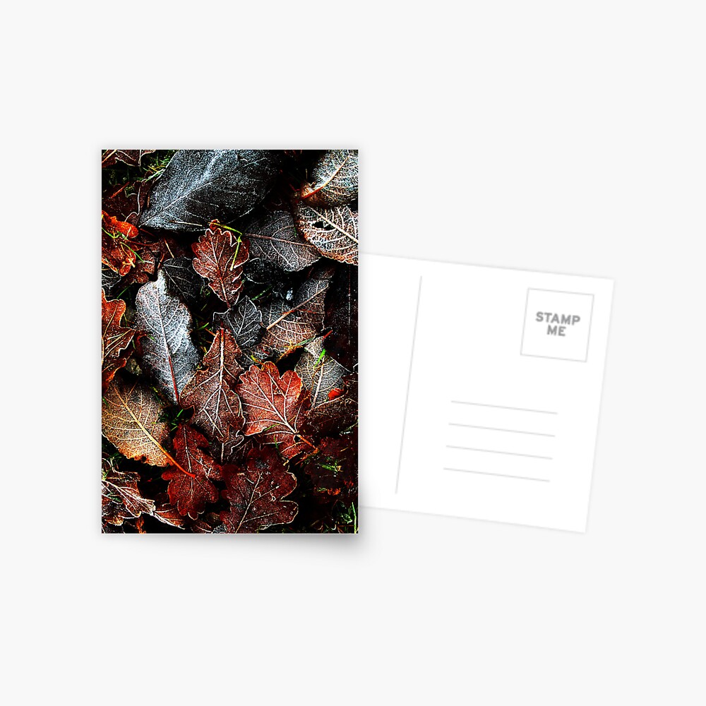 Item preview, Postcard designed and sold by Coigach.