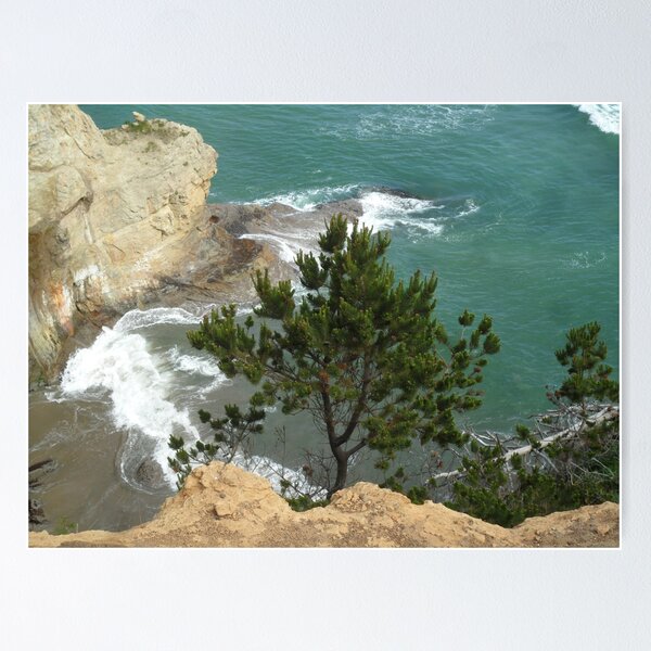 Item preview, Tree and Oregon Coastline  designed and sold by HilaryLeslie.