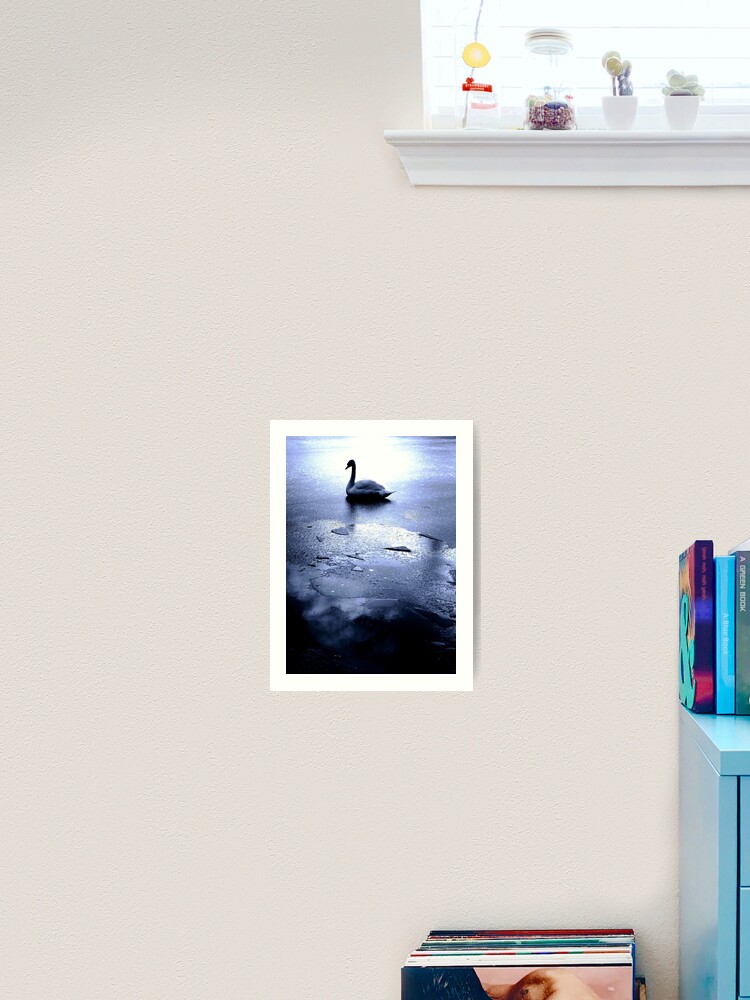 Thumbnail 2 of 3, Art Print, Swan on Ice designed and sold by Coigach.