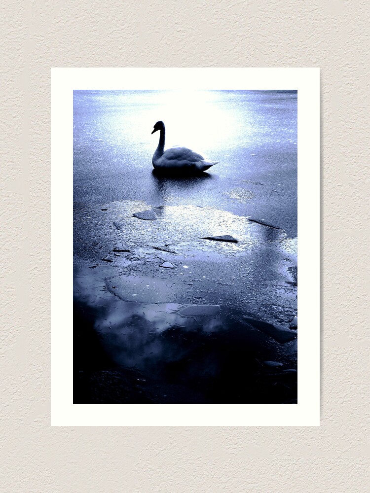 Thumbnail 1 of 3, Art Print, Swan on Ice designed and sold by Coigach.