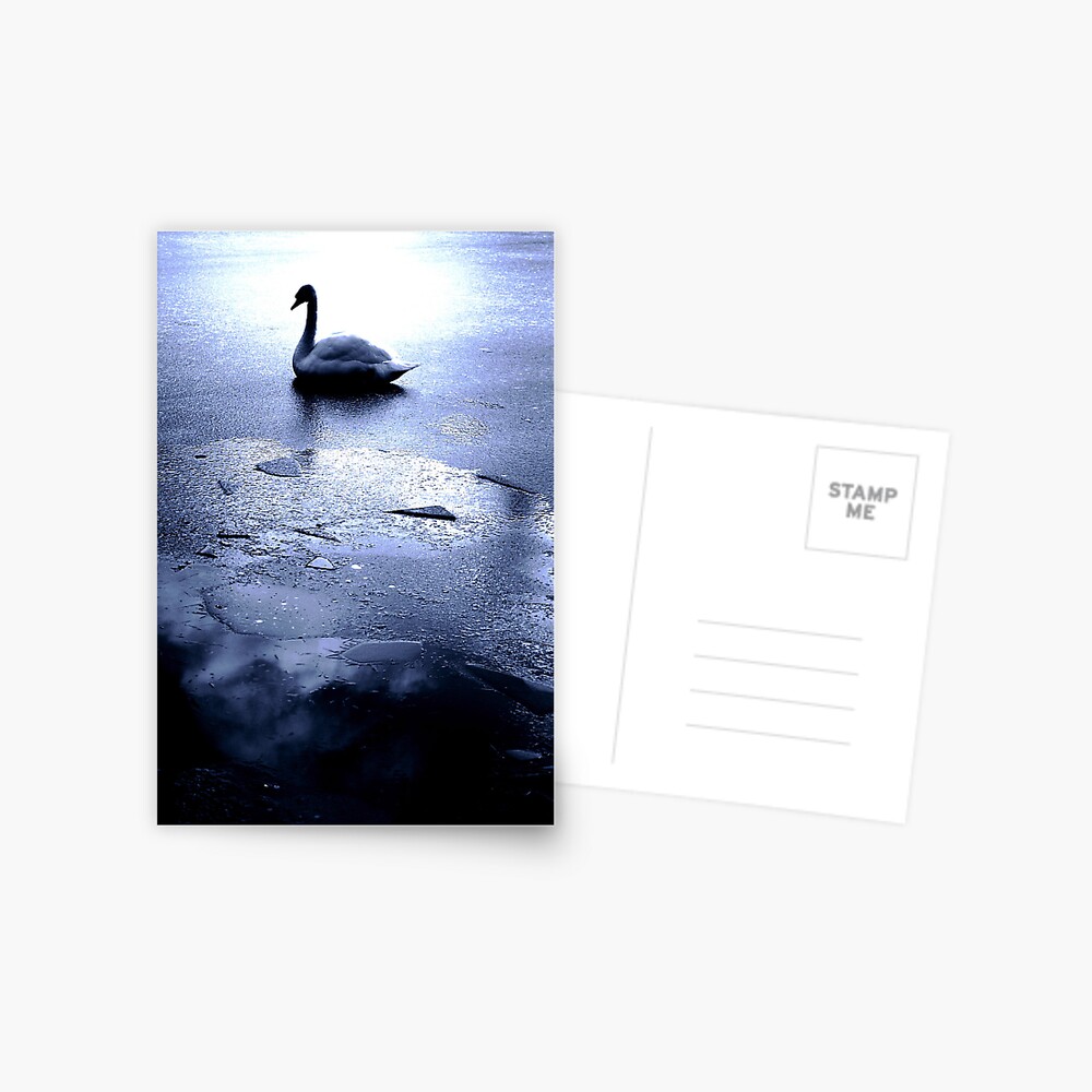 Item preview, Postcard designed and sold by Coigach.