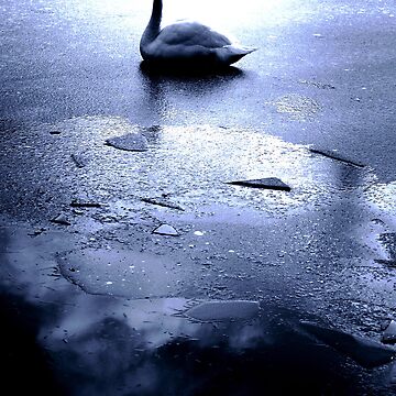 Artwork thumbnail, Swan on Ice by Coigach