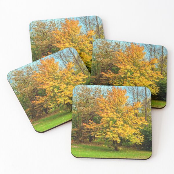 Item preview, Maple 11/3/18 designed and sold by JohnDSmith.