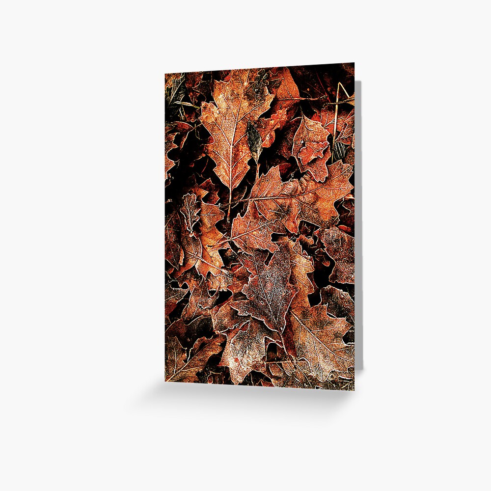 Item preview, Greeting Card designed and sold by Coigach.