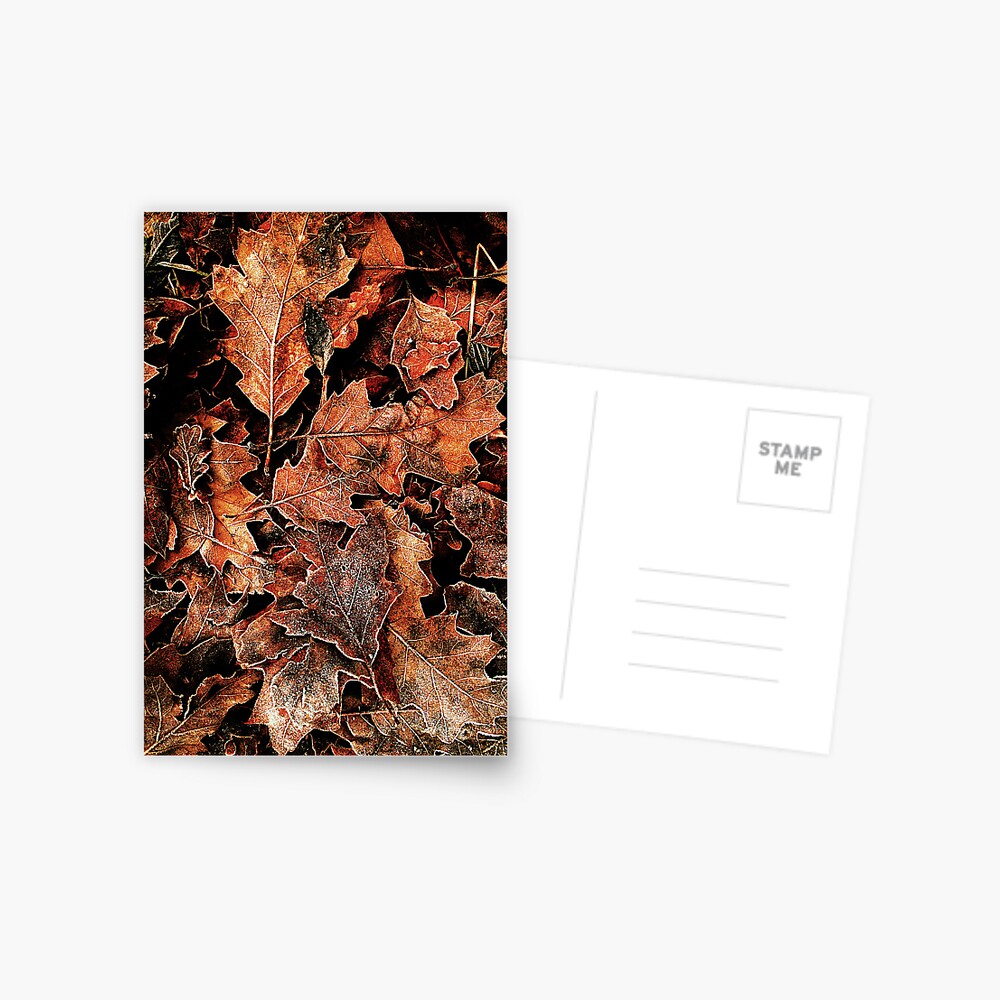 Item preview, Postcard designed and sold by Coigach.