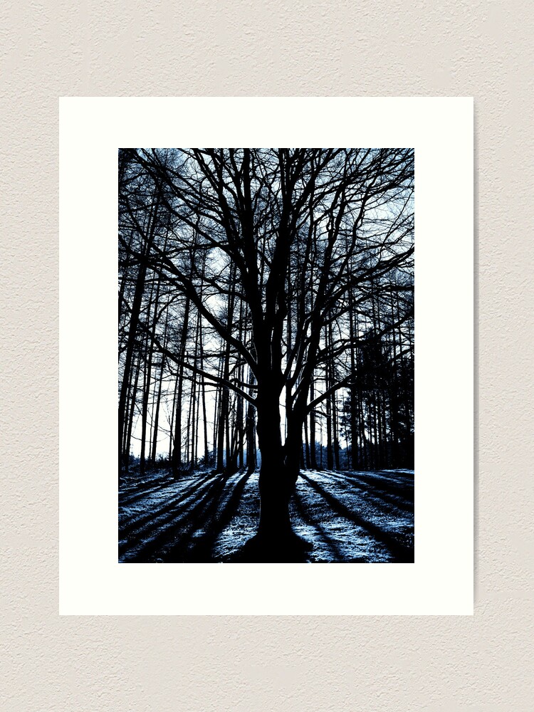 Thumbnail 1 of 3, Art Print, Galloway Forest: Winter Sun designed and sold by Coigach.
