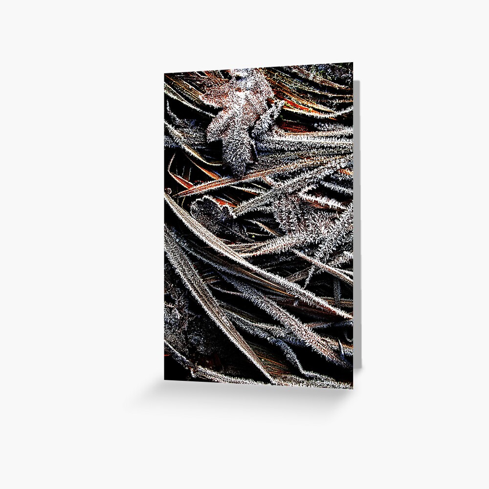 Item preview, Greeting Card designed and sold by Coigach.