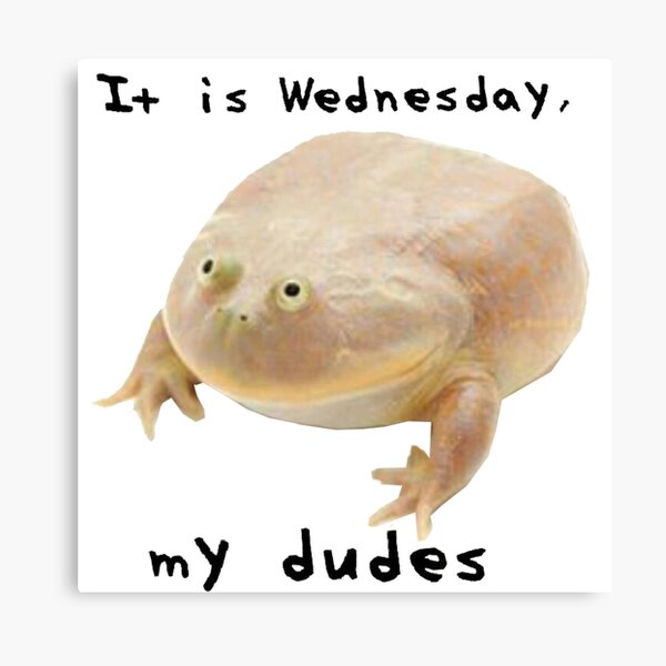 wednesday,meme,funny,me_irl,meirl,reddit,joke,frog,wednesday frog,it is wed...