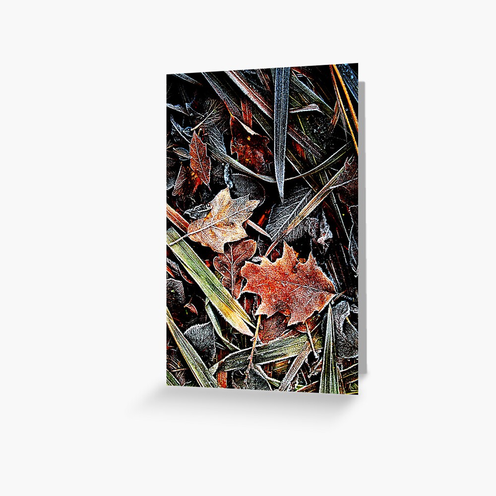 Item preview, Greeting Card designed and sold by Coigach.