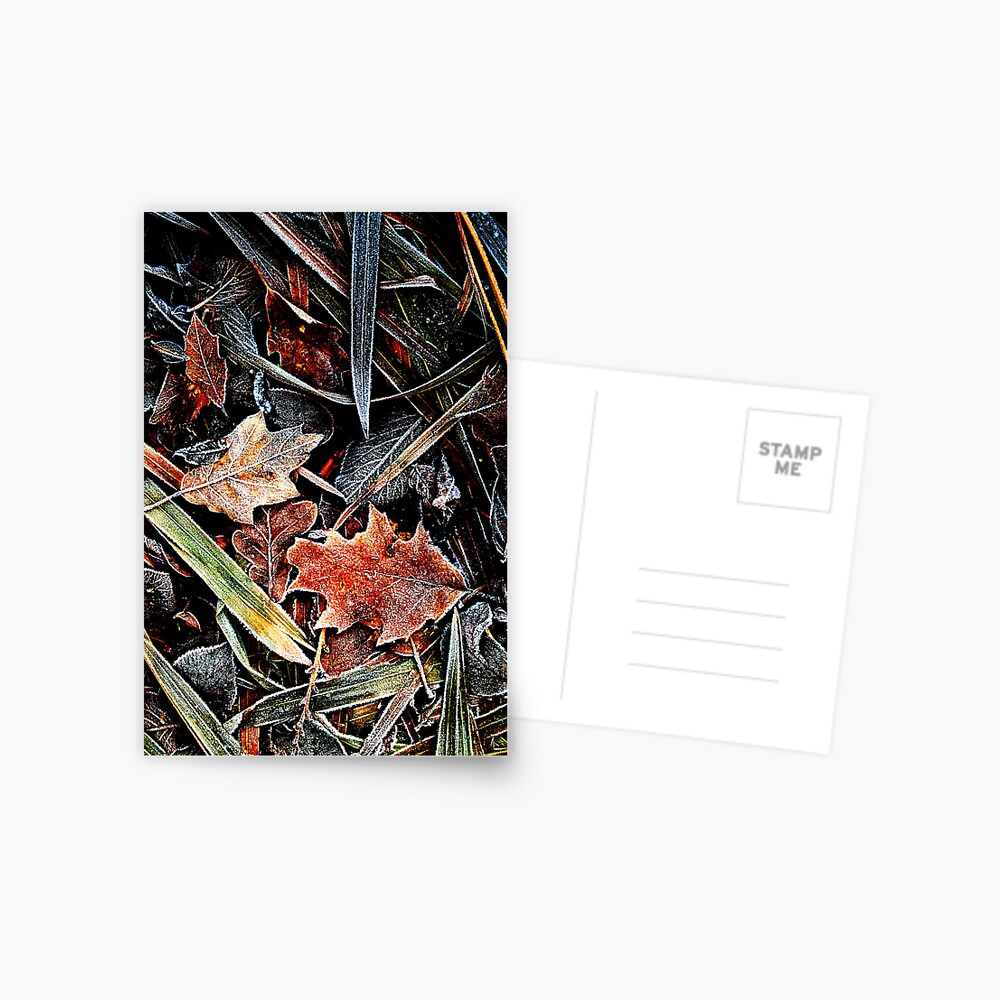 Item preview, Postcard designed and sold by Coigach.