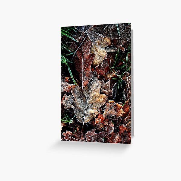 Touch of frost Frost 5 Greeting Card