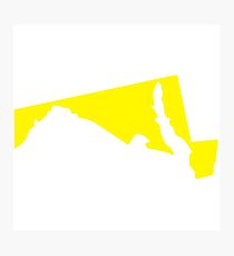 Yellow Maryland Photographic Print