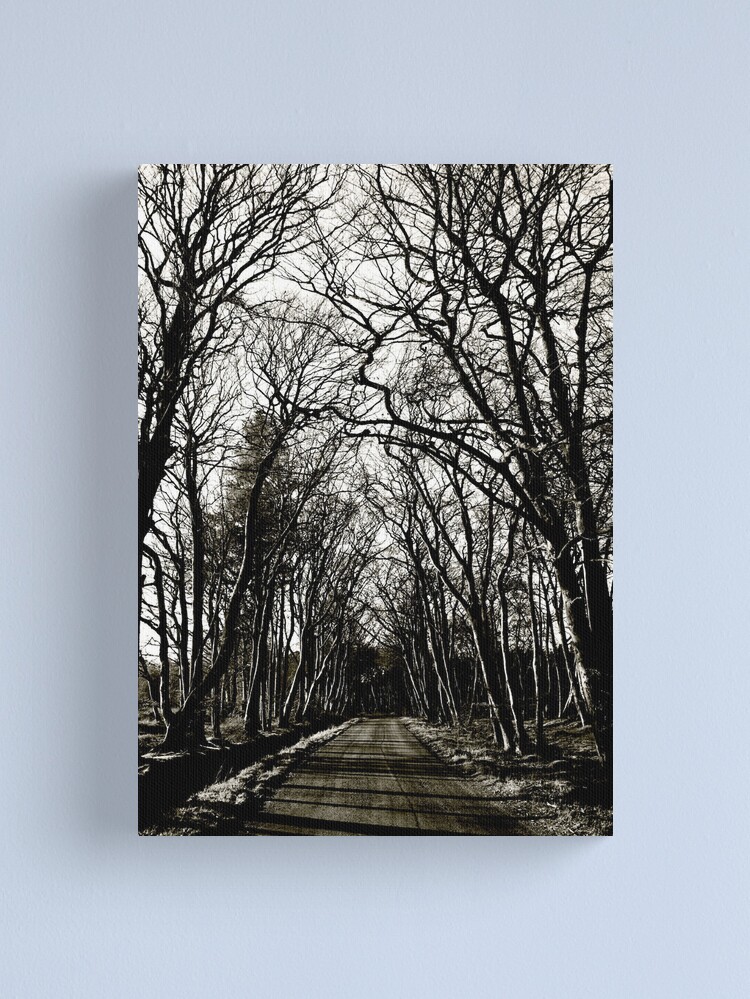 Thumbnail 1 of 3, Canvas Print, Road to Laurieston: Winter Trees designed and sold by Coigach.