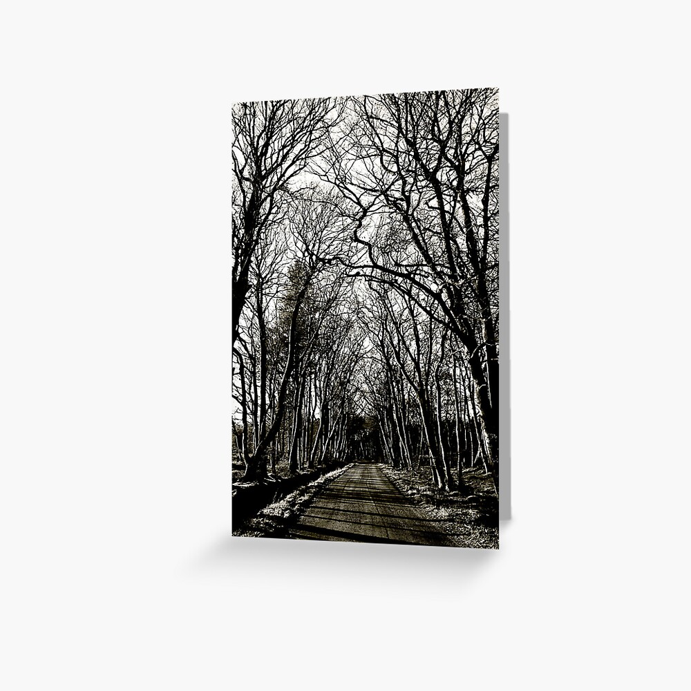 Item preview, Greeting Card designed and sold by Coigach.